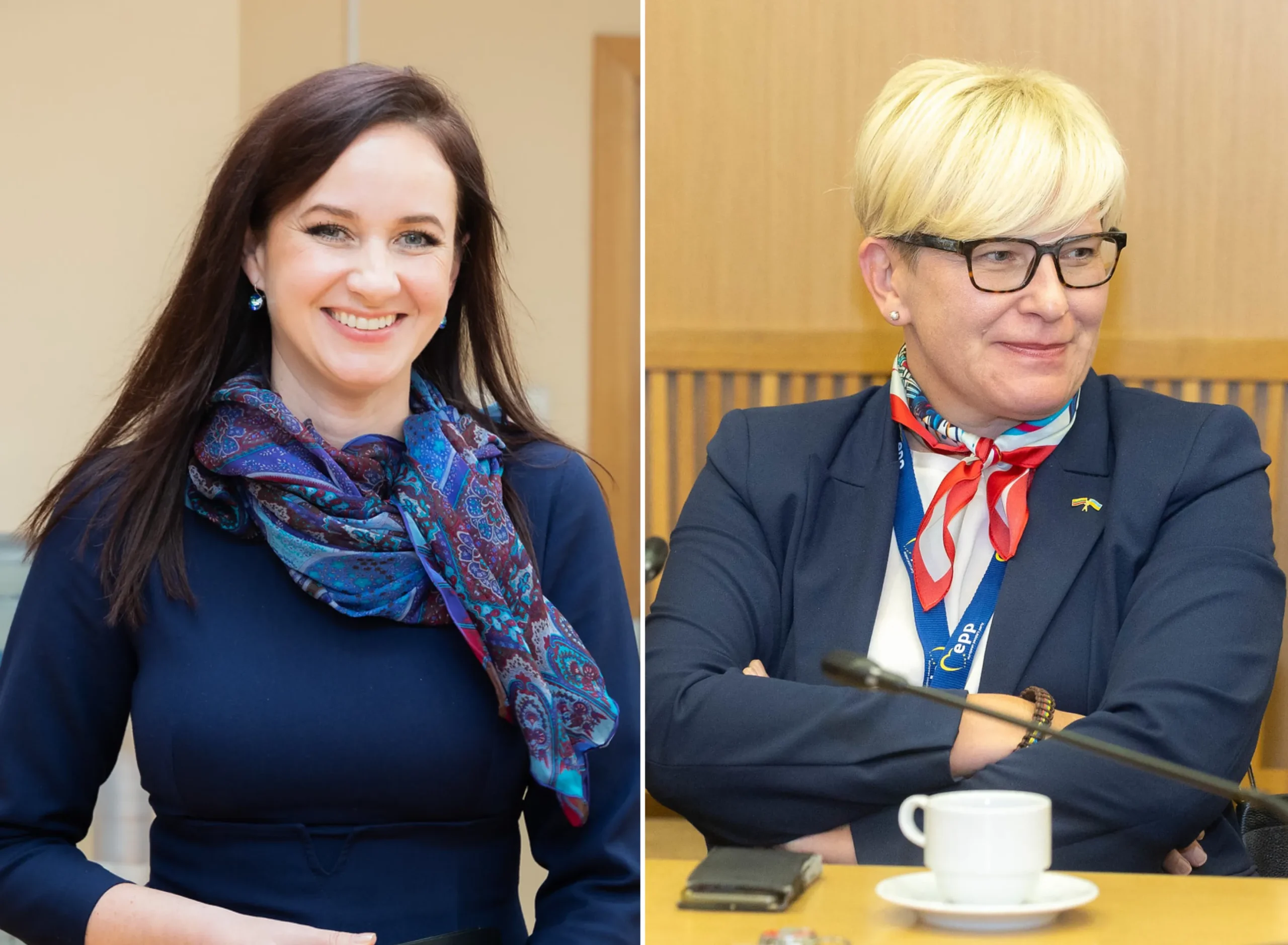 Politinės psichologijos įtaka rinkėjų nuomonei: kodėl buvusi premjerė vertinama palankiau nei dabartinė