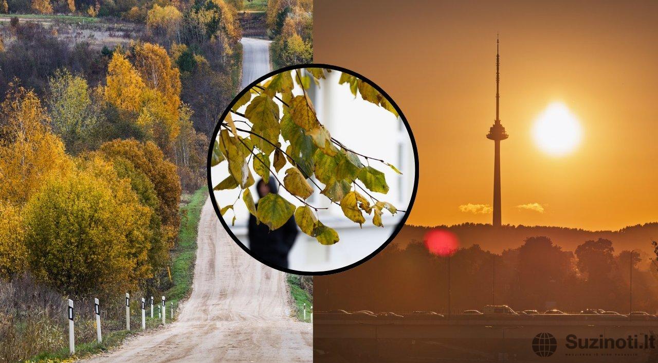Rudens orai (tv3.lt koliažas)