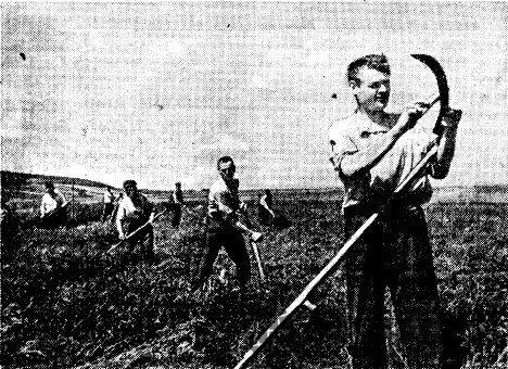 Sovietmetis