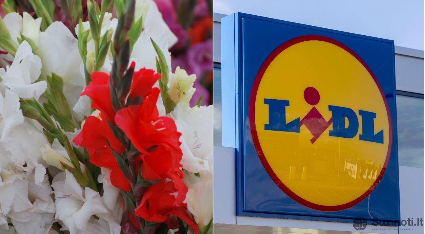 Lidl Lietuva