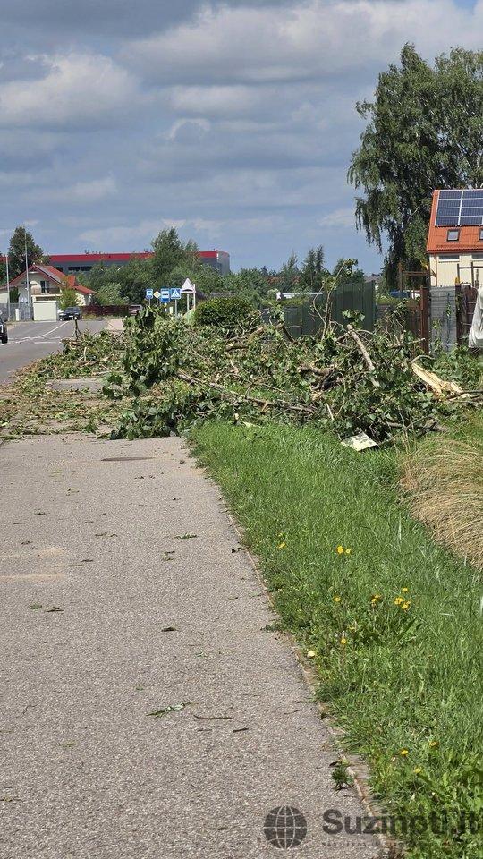 Audros padariniai Riešėje ir Bendorėliuose / nuotr. Elenos Vostrikovės (nuotr. iš „Facebook“ grupės „Orų entuziastai“)