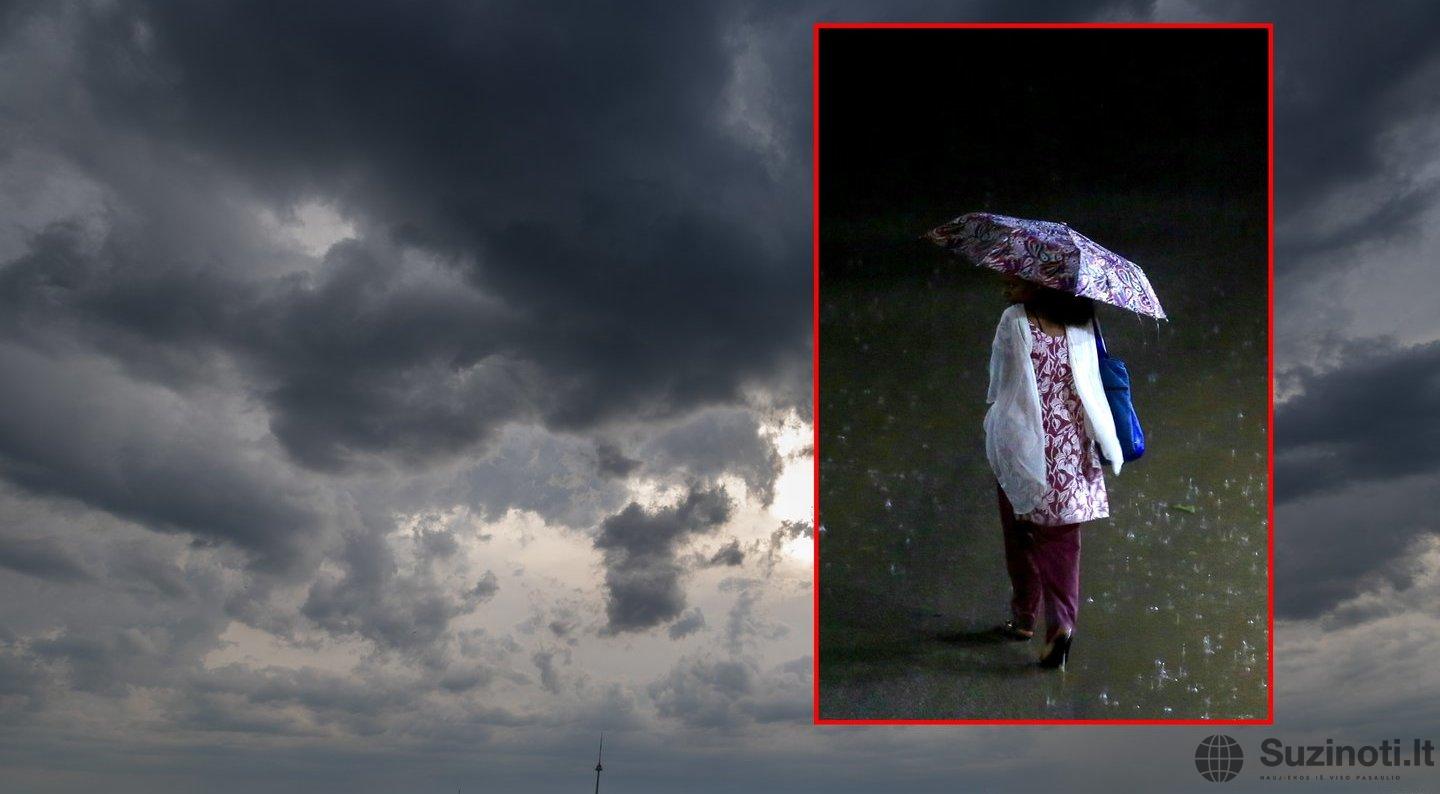 Šiam regionui stichinis reiškinys smogs stipriausiai – ragina atšaukti planus: „Gali lengvai lūžti šakos, išvirsti medžiai“ (tv3.lt fotomontažas)